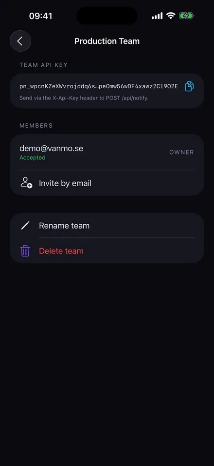 A team in Pocket Notifier with its shared API key, member list and an invite-by-email button